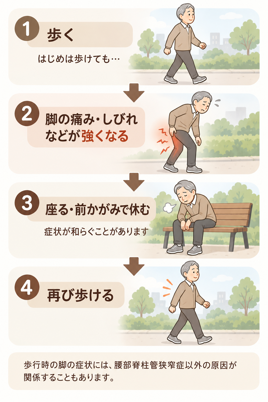 間欠性跛行で歩行中に脚の症状が強くなり休むと和らぐ流れの説明図